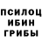 Галлюциногенные грибы Magic Shrooms Mark Cohea