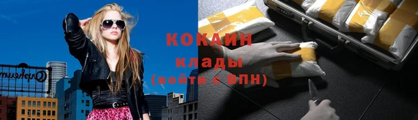 стафф Верхний Тагил