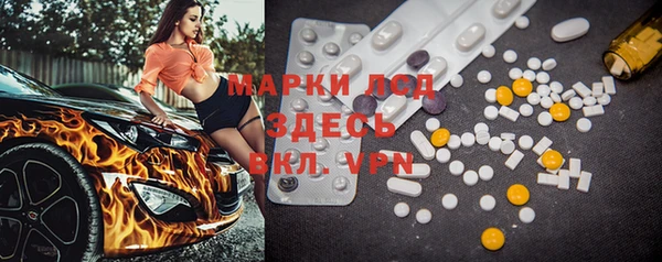 крисы Верея