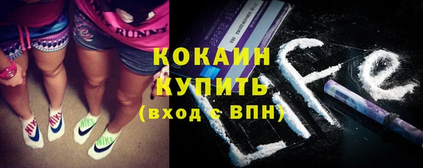 стафф Верхний Тагил