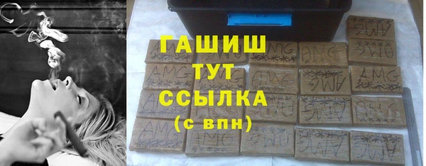 твердый Бородино