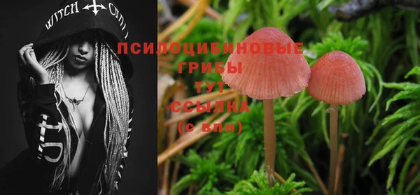 крисы Верея