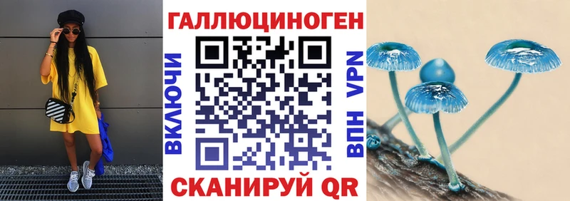 Псилоцибиновые грибы прущие грибы  Купить где  Мещовск 